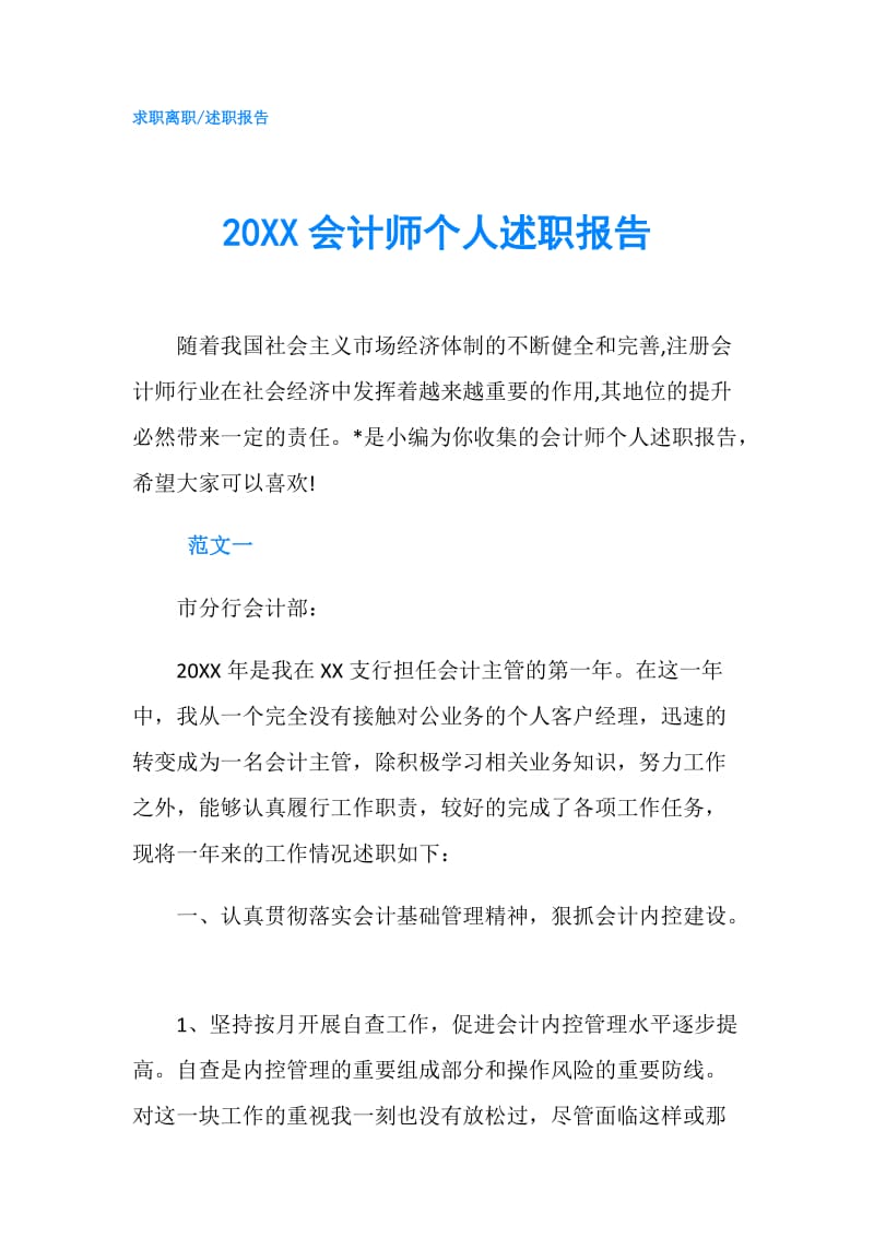 20XX会计师个人述职报告.doc_第1页