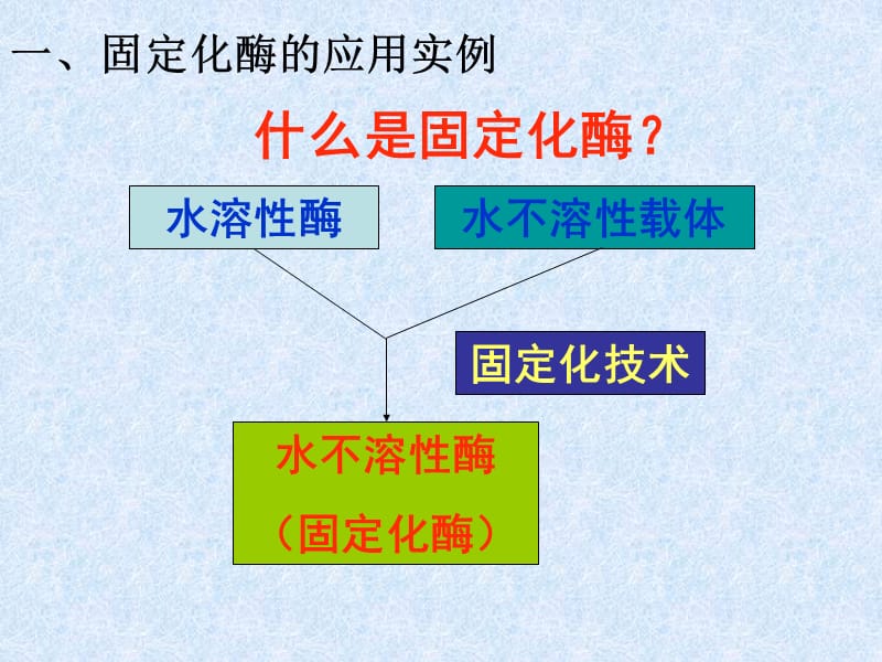 酵母细胞的固定化.ppt_第3页