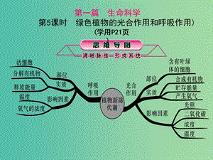 中考科學(xué)總復(fù)習(xí) 第5課時(shí) 綠色植物的光合作用和呼吸作用課件.ppt