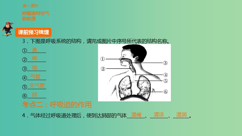 中考生物 第四单元 第十三章 人体的呼吸－氧平衡复习课件 新人教版.ppt_第3页