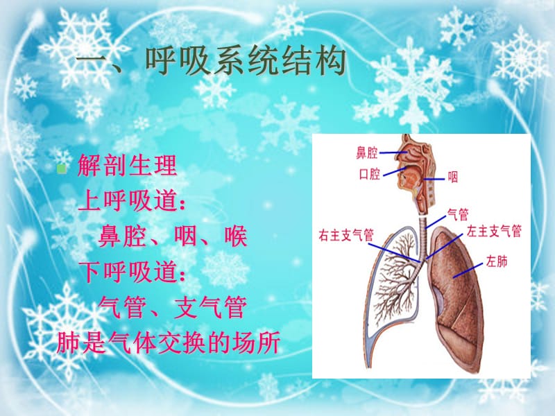 肺炎的分类诊断治疗.ppt_第2页