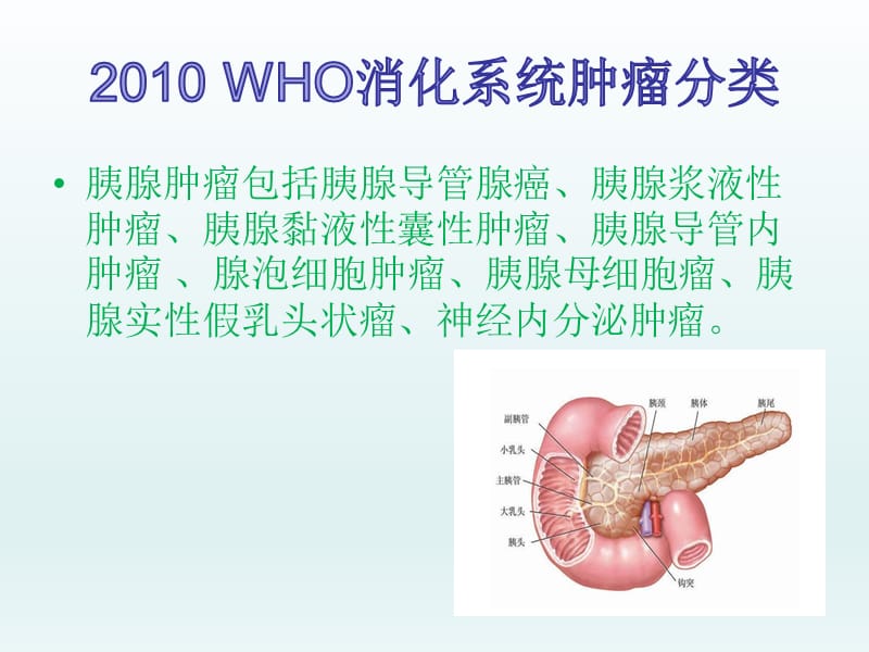 胰腺肿瘤分类及诊疗.ppt_第2页