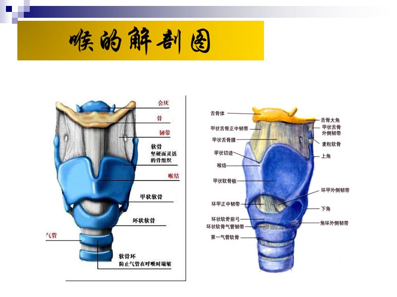 《喉癌护理查房》PPT课件.ppt_第3页