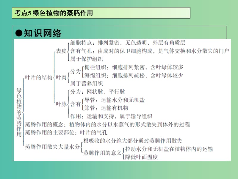 中考生物 第3单元 考点5 绿色植物的蒸腾作用课件 新人教版.ppt_第2页