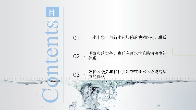 水十条在新版水污染防治法中的体现.ppt_第2页