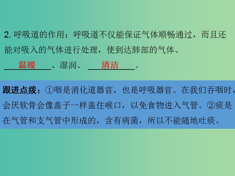 中考生物 第四单元 第三章 人体的呼吸复习课件.ppt_第3页