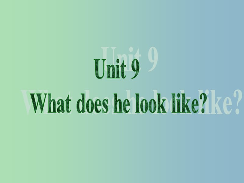 七年级英语下册 Unit 9 What does he look like课件1 （新版）人教新目标版.ppt_第2页