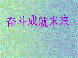 九年級政治全冊 10.2 奮斗成就未來課件 魯教版.ppt