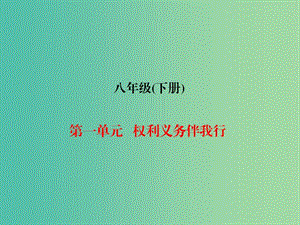 中考政治總復(fù)習(xí) 八下 第一單元 權(quán)利義務(wù)伴我行課件.ppt