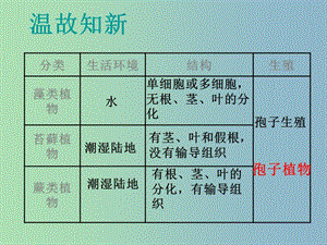 七年級生物上冊《3.1.2 種子植物》課件 新人教版.ppt