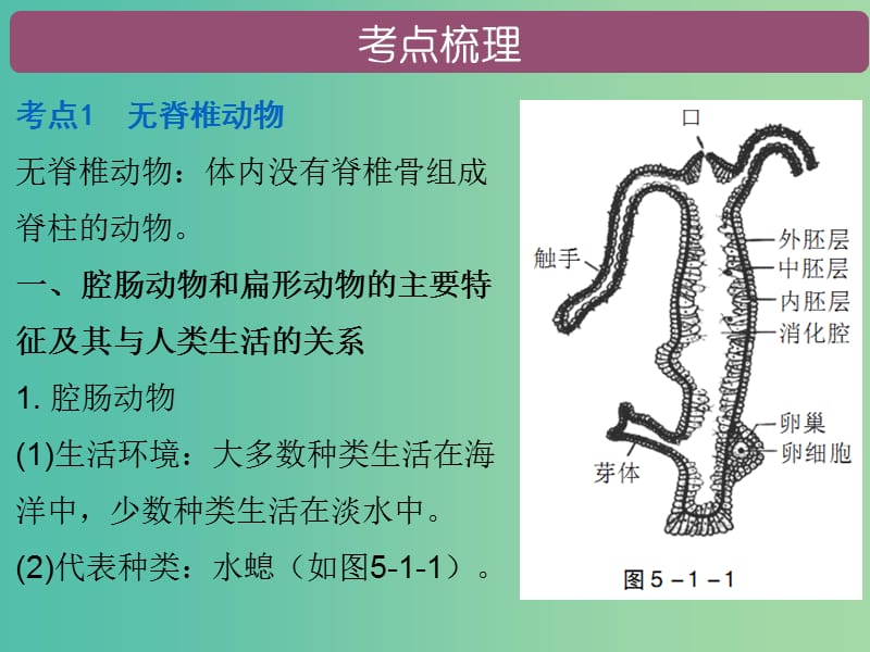 中考生物 第五单元 第一章 动物的主要类群复习课件.ppt_第2页