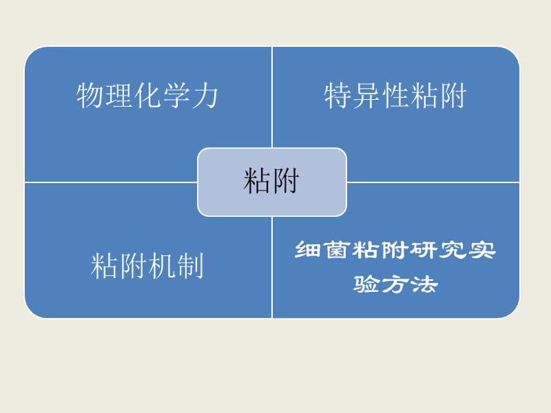 细菌的黏附与侵袭.ppt_第3页