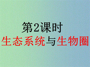 七年級生物上冊 第2課時 生態(tài)系統(tǒng)與生物圈復習課件 （新版）新人教版.ppt