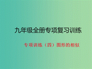 九年級數學下冊 專項訓練四 圖形的相似作業(yè)課件 北師大版.ppt