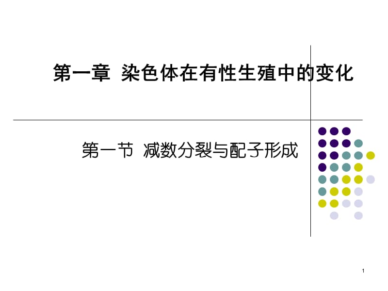 高中生物减数分裂精华版.ppt_第1页