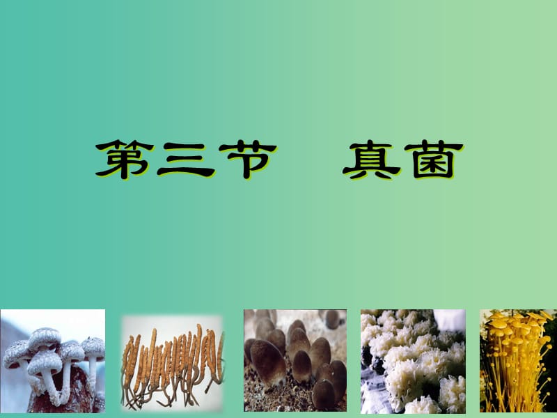 八年级生物上册 第二批教学能手评选 5.4.3 真菌课件 （新版）新人教版.ppt_第1页