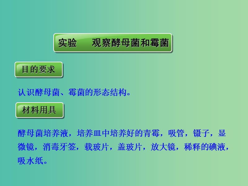 八年级生物上册 第二批教学能手评选 5.4.3 真菌课件 （新版）新人教版.ppt_第3页