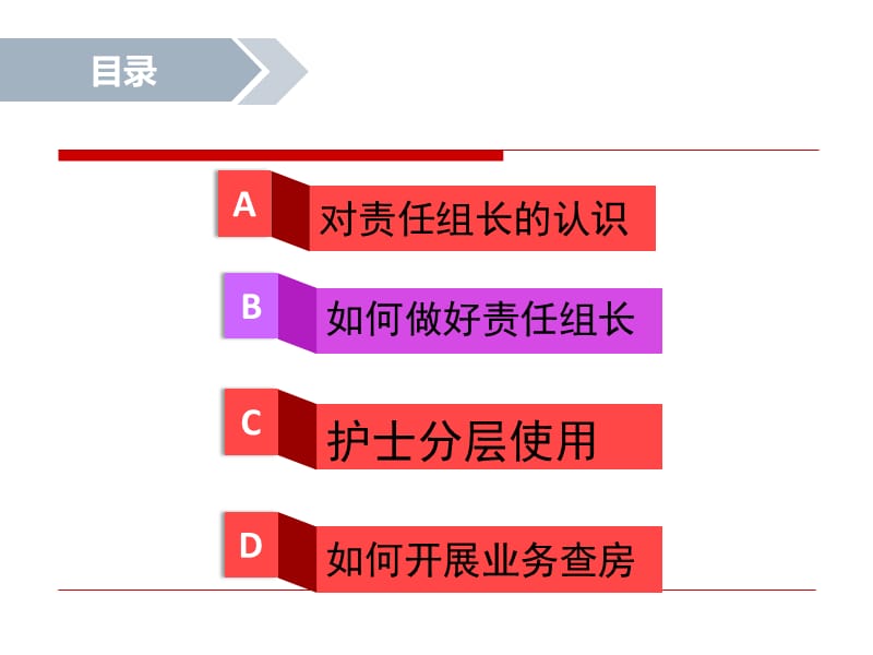 《责任护理组长》PPT课件.ppt_第1页