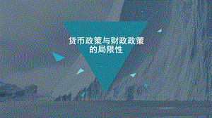 貨幣政策與財(cái)政政策的局限性.ppt