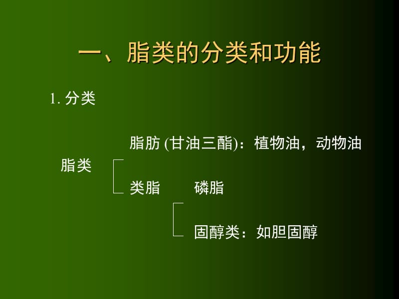 脂类碳水化合物.ppt_第2页