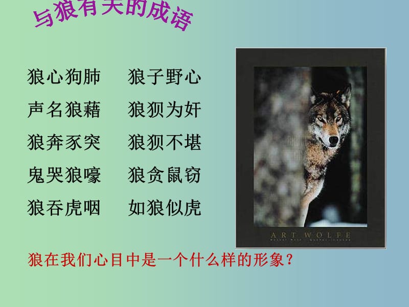 2019版七年级语文上册 专题 狼课件2 苏教版.ppt_第2页