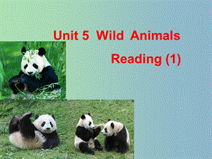 八年级英语上册《Unit 5 Wild animals Reading 1》课件 （新版）牛津版.ppt