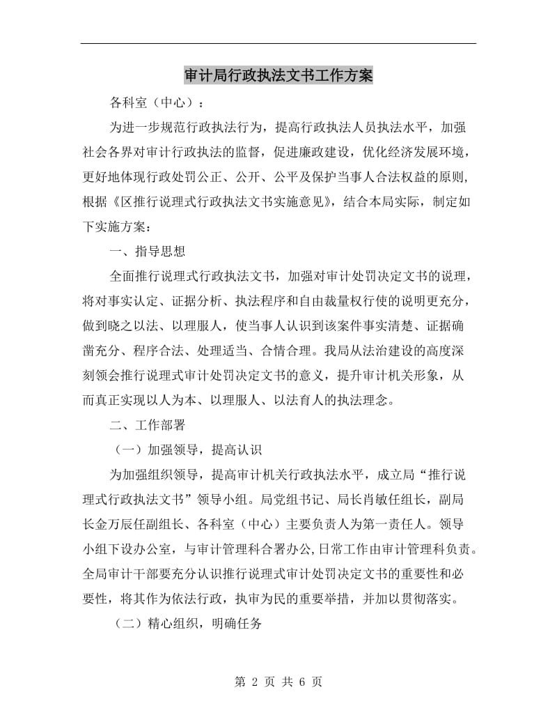 审计局行政执法文书工作方案.doc_第2页