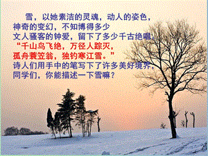 2019版八年級(jí)語(yǔ)文下冊(cè) 6 雪課件2 新人教版.ppt