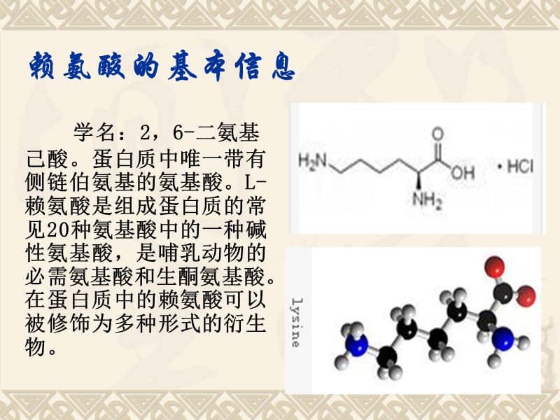 赖氨酸的生产工艺简介.ppt_第2页