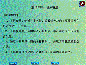 中考化學基礎復習 第14課時 鹽和化肥課件 新人教版.ppt