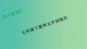 中考語文 考點(diǎn)集訓(xùn)2 七下 單元字詞闖關(guān)復(fù)習(xí)課件.ppt