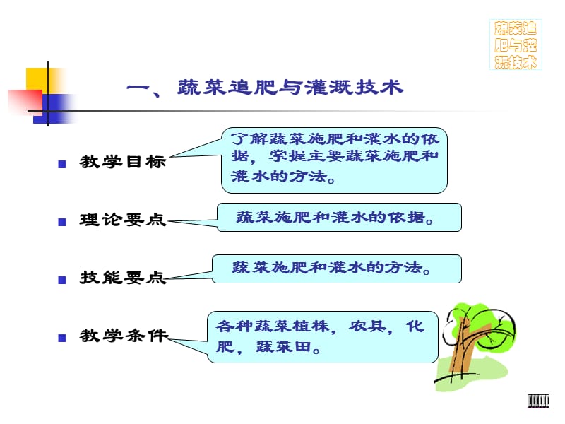 蔬菜的田间管理(浇水、施肥、植株调整).ppt_第2页