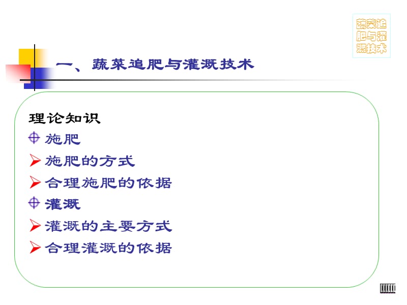 蔬菜的田间管理(浇水、施肥、植株调整).ppt_第3页