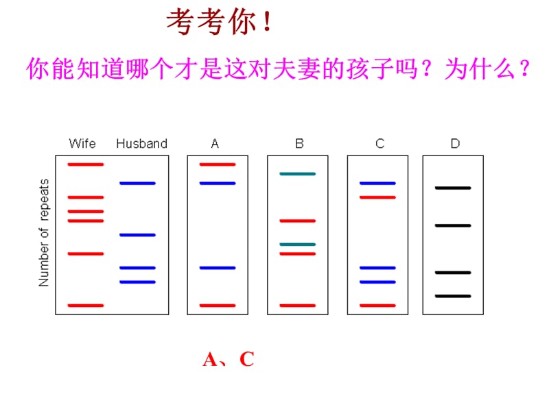 遗传信息的携带者-核酸.ppt_第1页