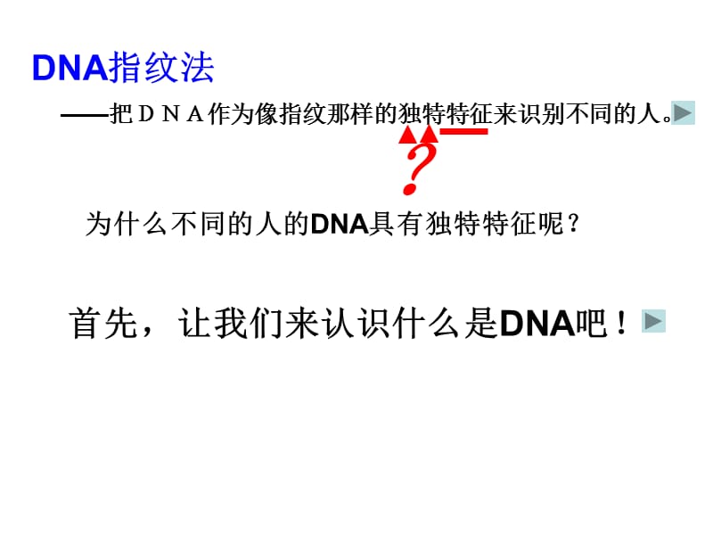 遗传信息的携带者-核酸.ppt_第2页