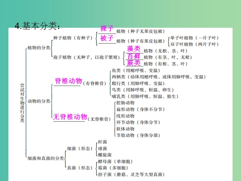 中考生物 第一部分 教材考点同步解析 第六单元 生物的多样性及其保护（第1课时）复习课件 新人教版.ppt_第3页