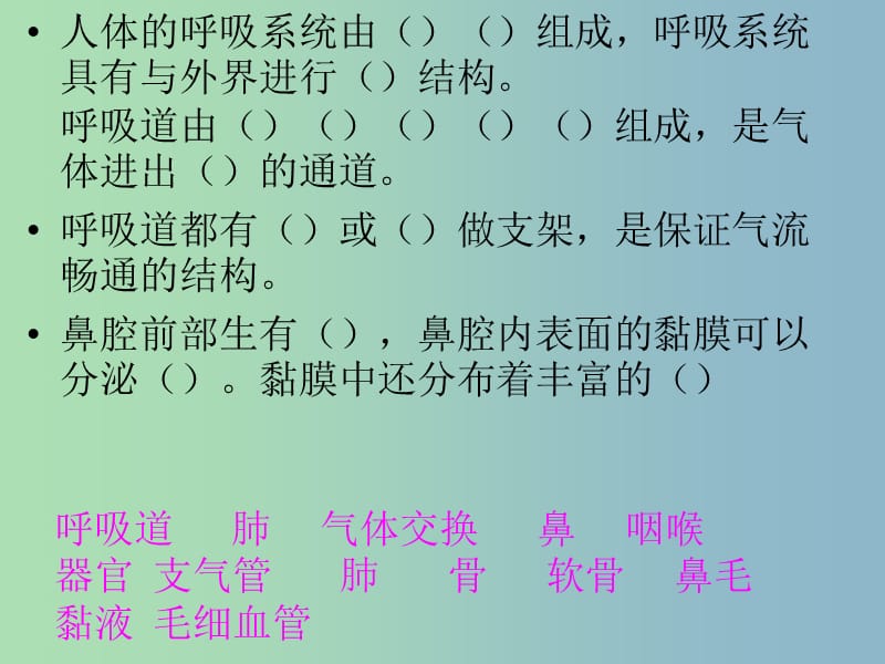 七年级生物下册 4.3.1 呼吸道对空气的处理课件 新人教版.ppt_第3页