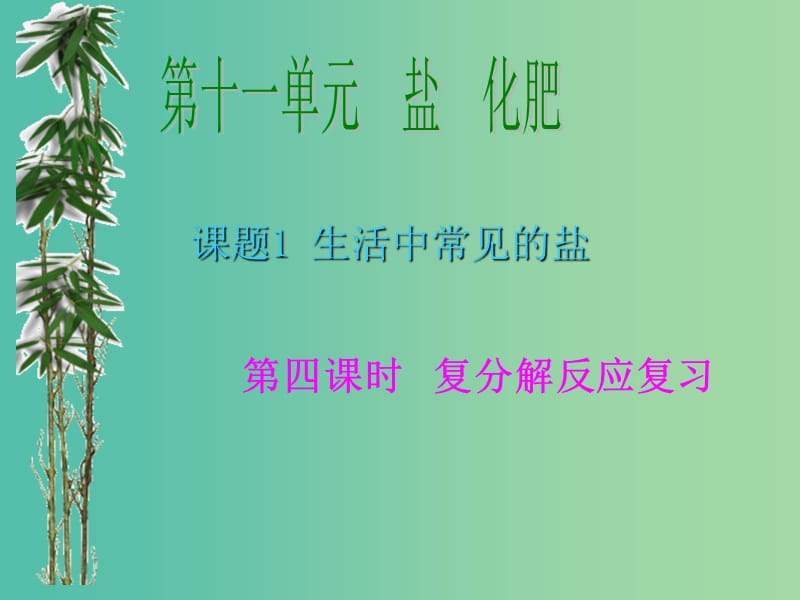 九年级化学下册 11.1 生活中常见的盐课件2 新人教版.ppt_第1页