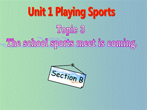 八年級(jí)英語上冊(cè) Unit 1 Playing Sports Topic 3 Section B課件 （新版）仁愛版.ppt