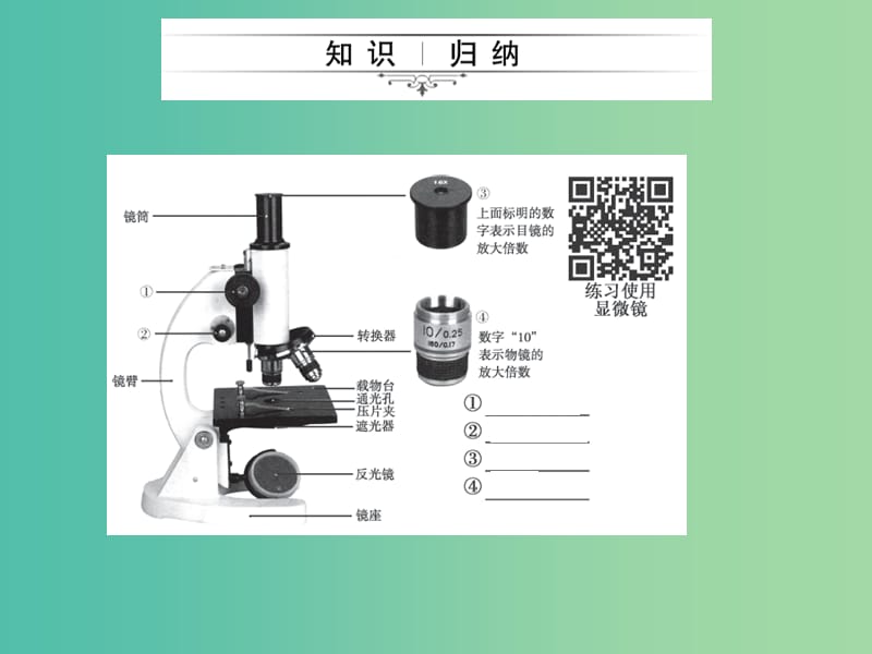 中考生物第一轮系统复习篇 第二单元 第一章 细胞是生命活动的基本单位课件.ppt_第3页