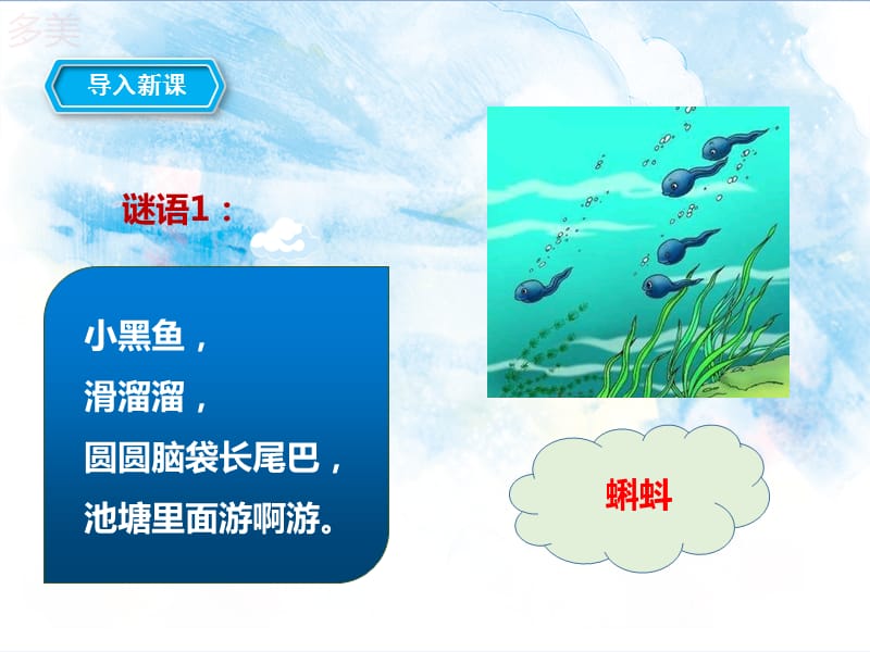 《小蝌蚪找妈妈》ppt.ppt_第2页