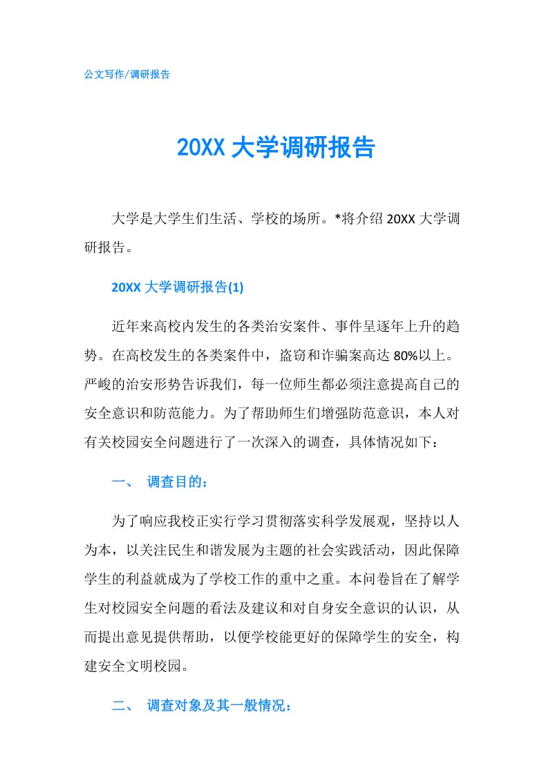 20XX大学调研报告.doc_第1页