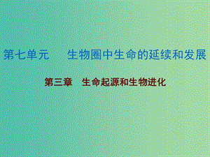 中考生物總復(fù)習(xí) 第七單元 第三章 生命起源和生物進(jìn)化課件.ppt