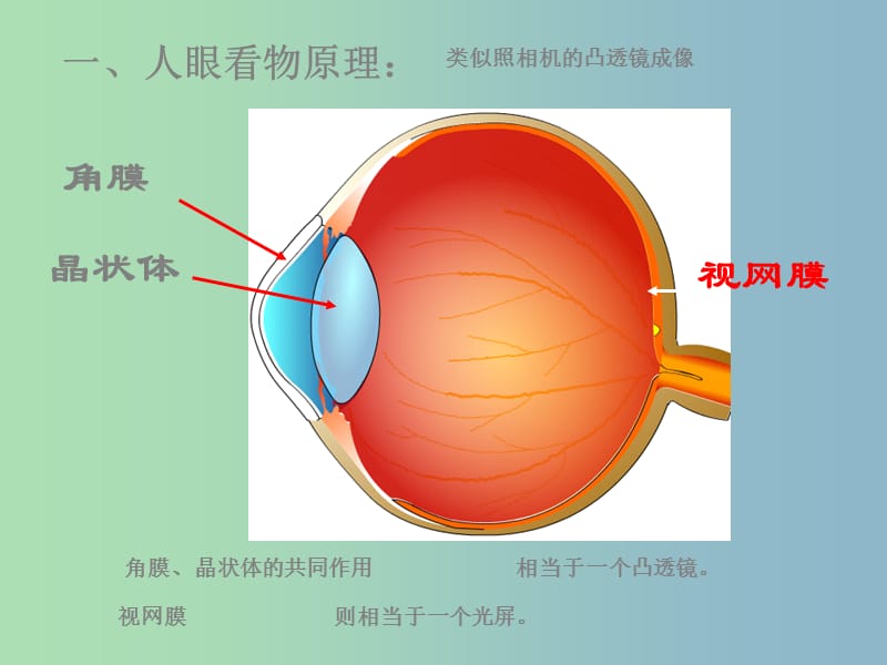 八年级物理上册 第五章 第四节《眼睛和眼镜》课件3 （新版）新人教版.ppt_第3页