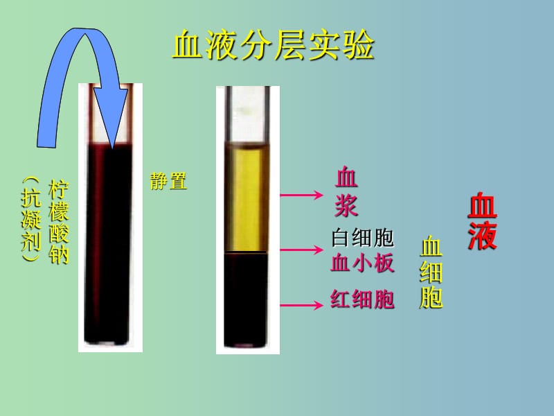 七年级生物下册 4.1 流动的组织—血液课件1 新人教版.ppt_第3页