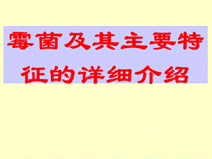 霉菌及其主要特征的詳細(xì)介紹.ppt