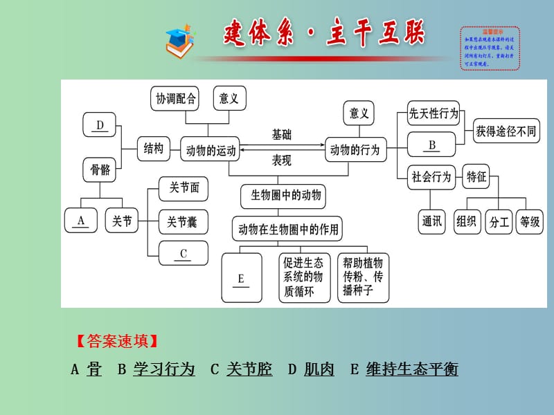 八年级生物上册 第五单元 第2-3章 阶段复习课件 （新版）新人教版.ppt_第2页