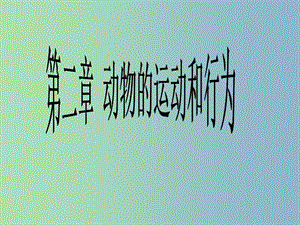 八年級生物上冊《5.2 動物的運(yùn)動和行為》課件 新人教版.ppt