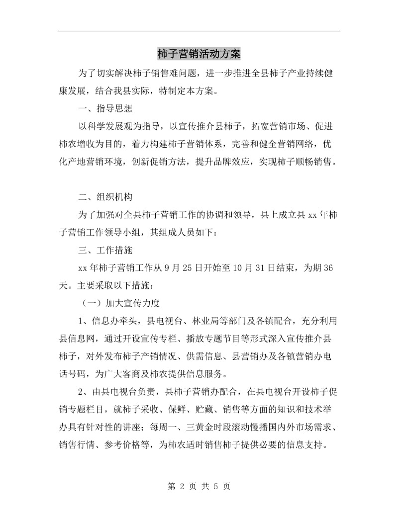 柿子营销活动方案.doc_第2页