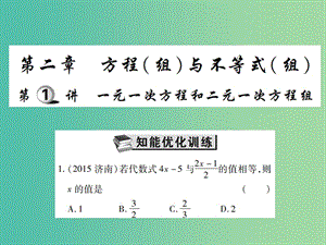 中考數(shù)學(xué)一輪復(fù)習(xí) 基礎(chǔ)過關(guān) 第二章 第1講 一元一次方程和二元一次方程組精練課件.ppt